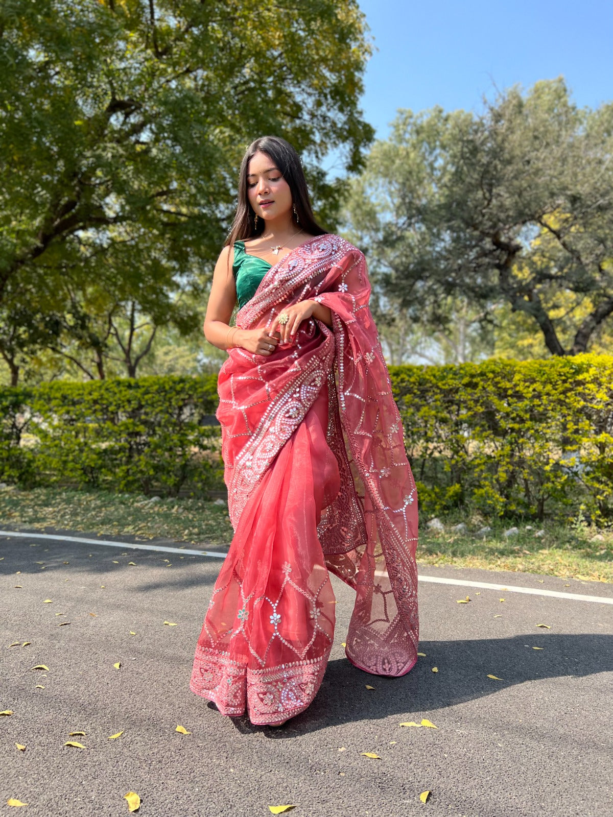 Sequence , Embroidery Work Saree