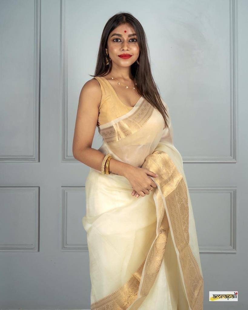 Orgenza zari Saree