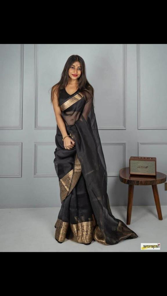 Orgenza zari Saree