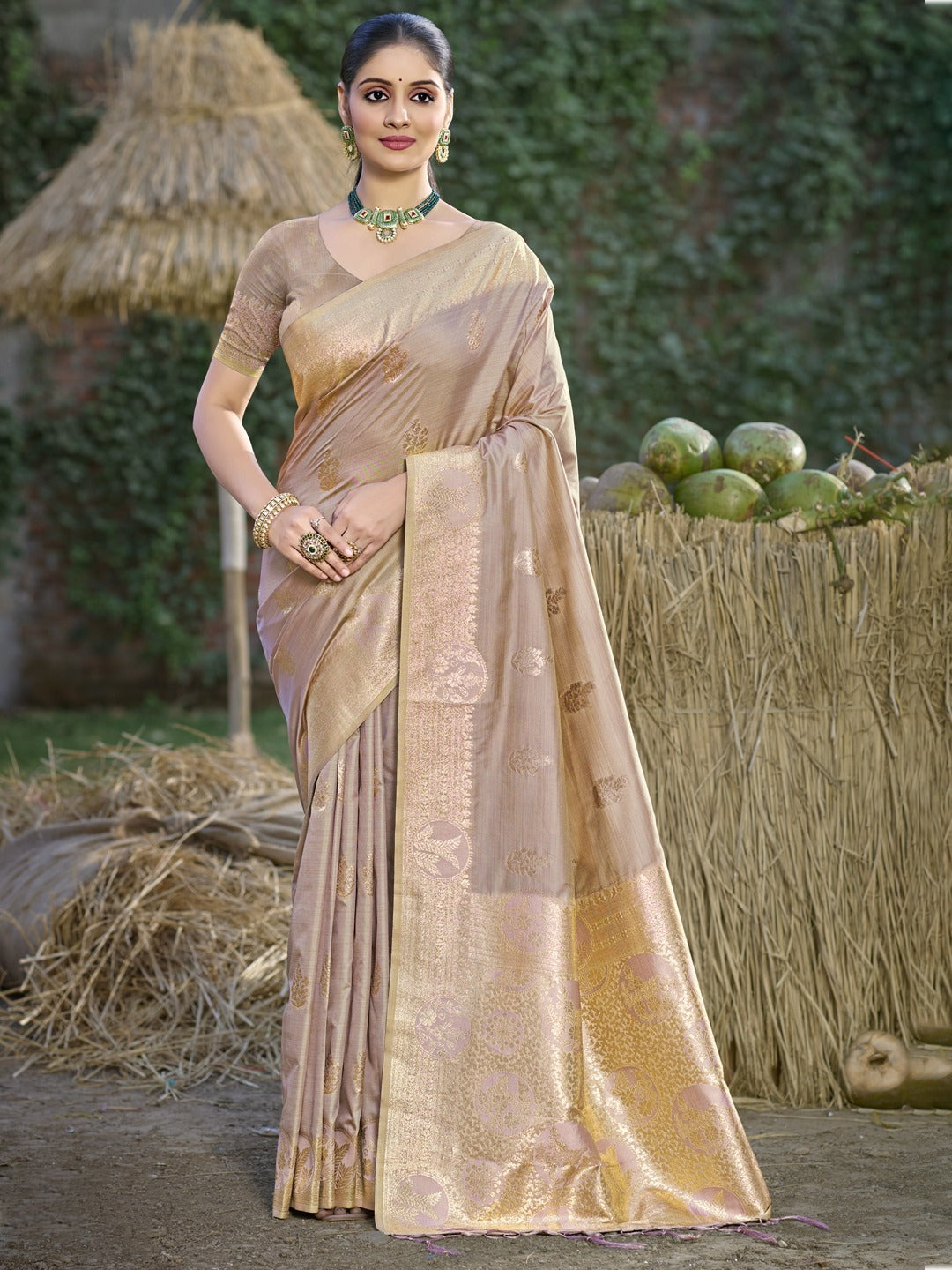 Catalog Name: *SRIVALI SILK*